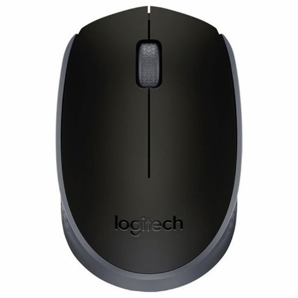 MOUSE LOGITECH INA M170